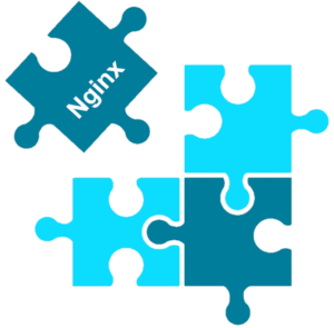 Nginx Reverse Proxy